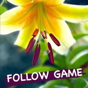 THATS RIGHT!! Another FOLLOW GAME!!! SUPPORT ONE ANOTHER & GAIN FOLLOWER…